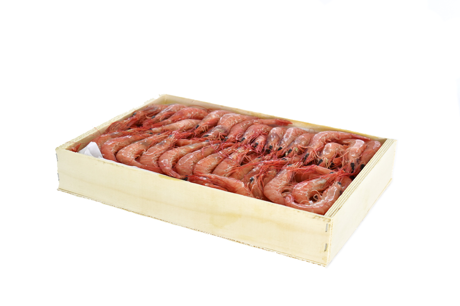 GAMBA COCIDA PADRÓN