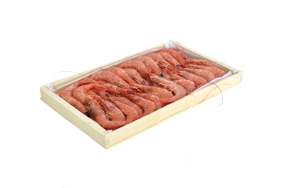 GAMBA COCIDA PADRÓN - Imagen 2