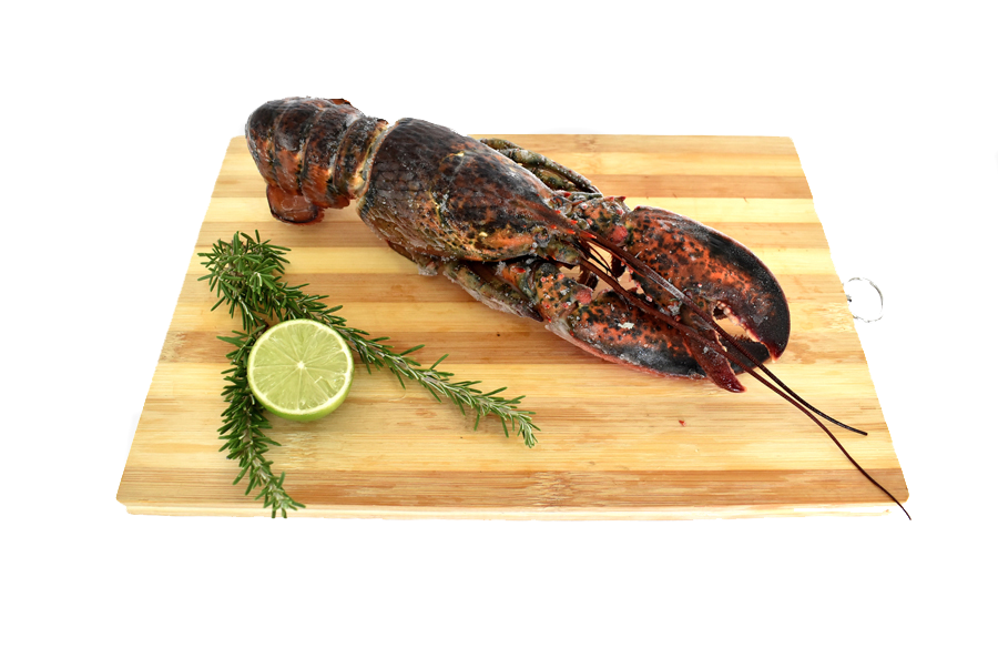 BOGAVANTE