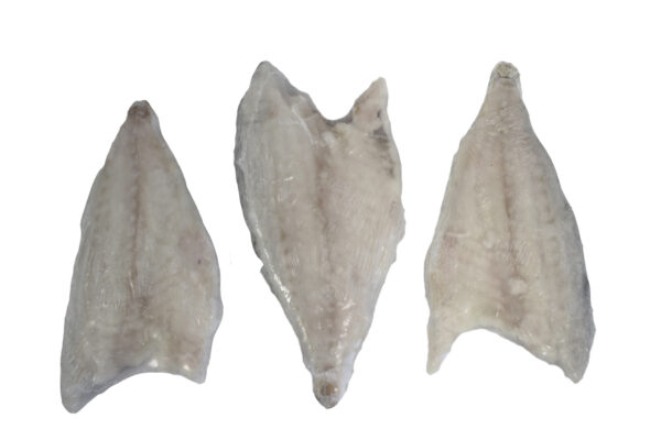 DORADA FILETE